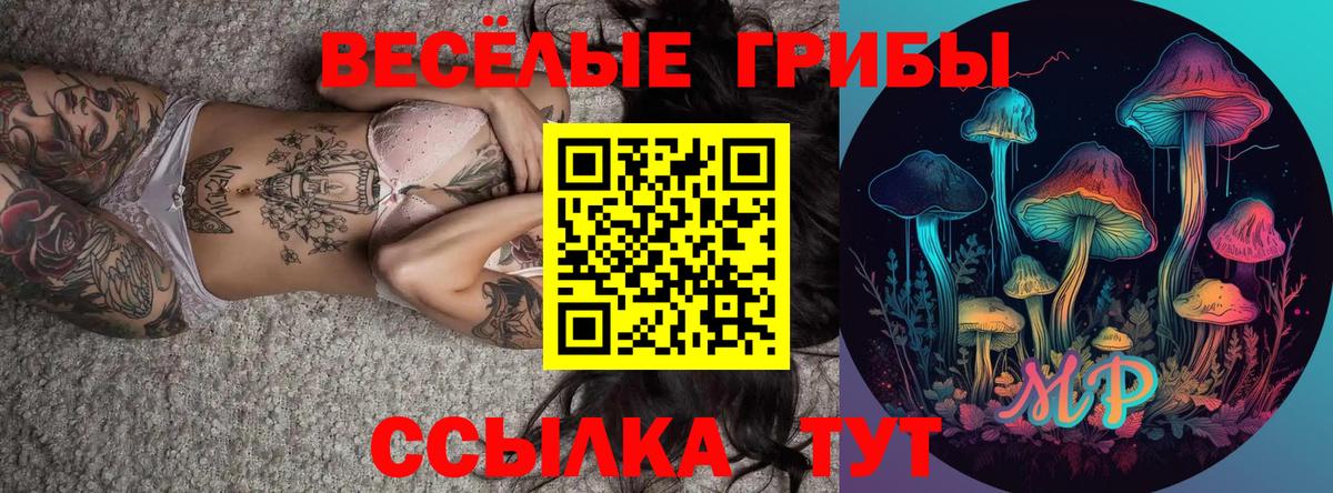 Псилоцибиновые грибы GOLDEN TEACHER  Вход с VPN  как найти наркотики  Богородск 